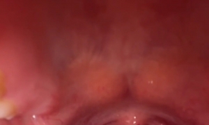 ��������С�������ʳ