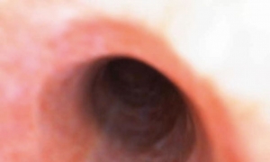 ��������Ĺ���