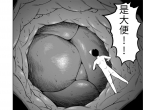 cupikoСʤäOΰ¤ڲ̽