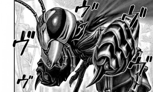 ��ӣ���㡿T������ 8-13��