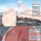 ��HarukiTsuki��ܽ���Ⱥͺ���