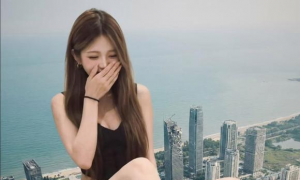 ��ƪ���£���ͼ��