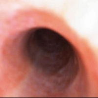 ��������Ĺ���