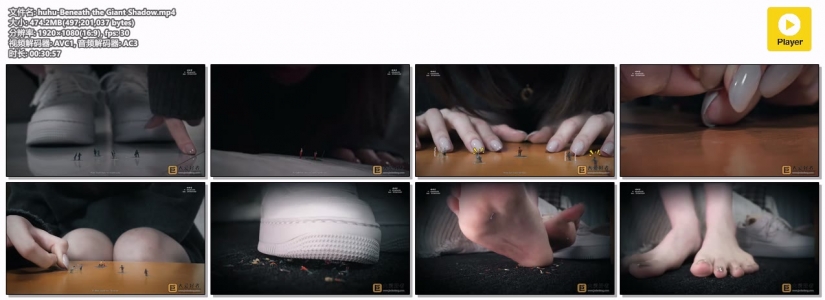 ���Էѽ�ת������������huhu-Beneath the Giant Shadow