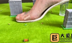 С�˾��˲ȳ���