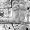 ���Էѽ�ת����SWGTSDRAWINGS��Giantess Boarding School - Collecting Toys