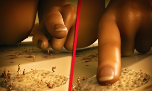 ���Էѽ�ת����yarigts��house pests