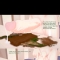 3DƷϼ