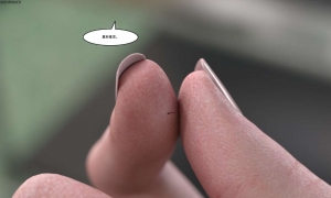 shrinky study ����