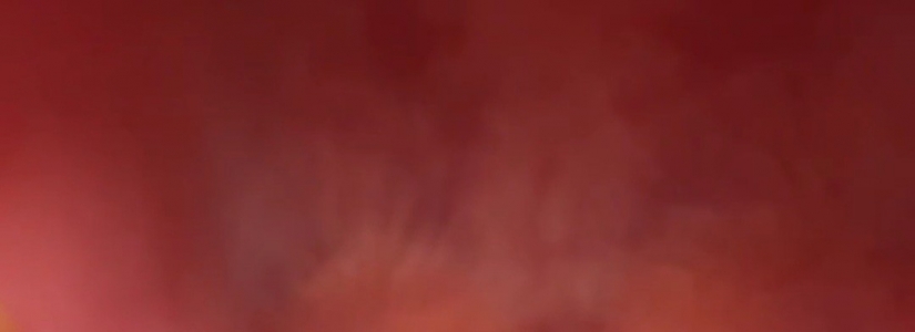 ��������С�������ʳ