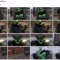ԷѽתBylettoGreen growth drive ANIMATION