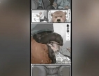 ��