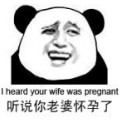 ޴󰮺-СŮShrink Womanר  